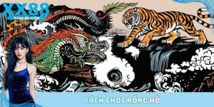 cách chơi Rồng Hổ