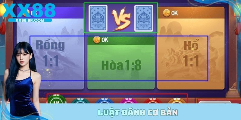 Bật mí chi tiết cách chơi rồng hổ cho newbie tại X88